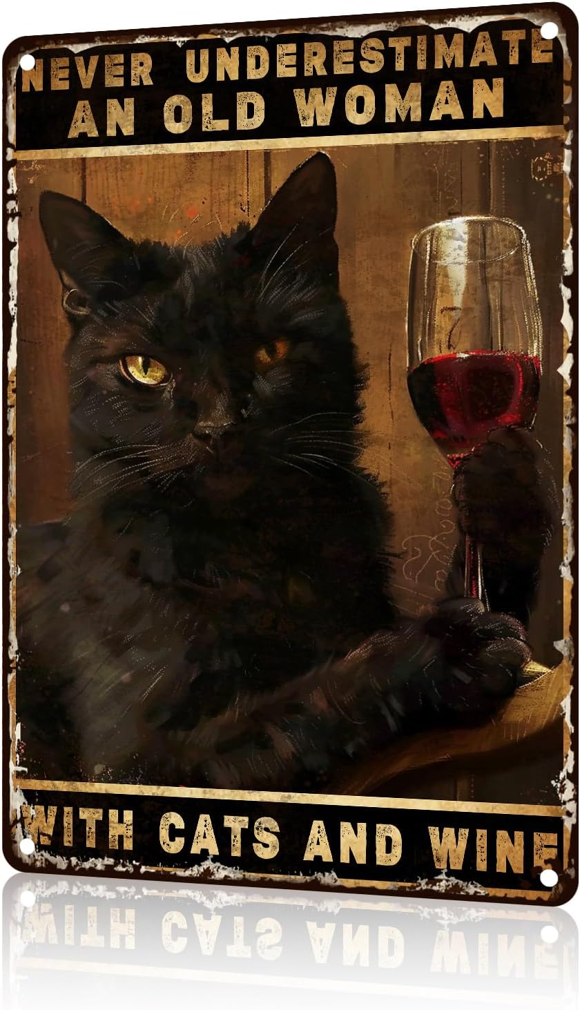 Black Cat Metal Tin Sign - Fun - Embroidery Wall Art review and price